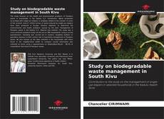 Study on biodegradable waste management in South Kivu kitap kapağı