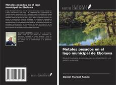 Buchcover von Metales pesados en el lago municipal de Ebolowa