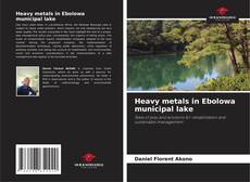 Обложка Heavy metals in Ebolowa municipal lake