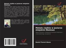 Metale ciężkie w jeziorze miejskim Ebolowa kitap kapağı