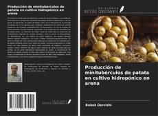 Couverture de Producción de minitubérculos de patata en cultivo hidropónico en arena