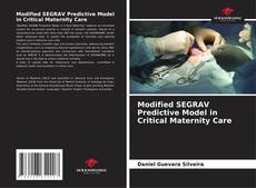 Modified SEGRAV Predictive Model in Critical Maternity Care kitap kapağı