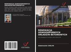 RENOWACJA OGNIOODPORNYCH OKŁADZIN BETONOWYCH kitap kapağı