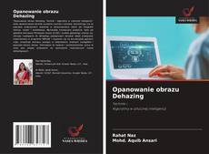 Opanowanie obrazu Dehazing的封面