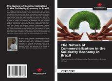 Borítókép a  The Nature of Commercialization in the Solidarity Economy in Brazil - hoz