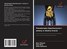 Buchcover von Tlenoterapia hiperbaryczna i zmiany w okolicy krocza