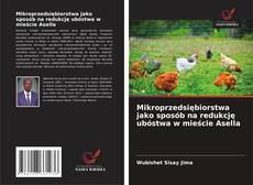 Buchcover von Mikroprzedsiębiorstwa jako sposób na redukcję ubóstwa w mieście Asella