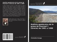 Buchcover von Análisis geotécnico de la presa de Pournari I (Grecia) de 1981 a 1988