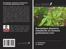 Couverture de Brevipalpus phoenicis Infestación en Ocimum gratissimum Linn