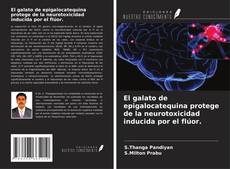 Buchcover von El galato de epigalocatequina protege de la neurotoxicidad inducida por el flúor.