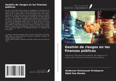 Gestión de riesgos en las finanzas públicas的封面