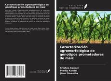 Caracterización agromorfológica de genotipos prometedores de maíz的封面