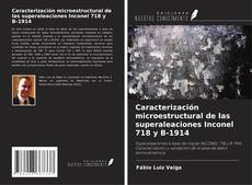 Buchcover von Caracterización microestructural de las superaleaciones Inconel 718 y B-1914