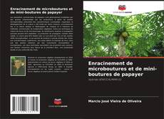 Enracinement de microboutures et de mini-boutures de papayer的封面