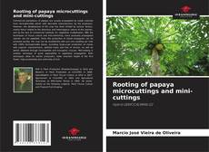 Bookcover of Rooting of papaya microcuttings and mini-cuttings