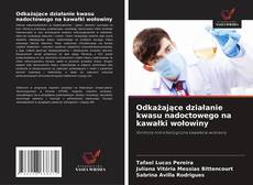 Обложка Odkażające działanie kwasu nadoctowego na kawałki wołowiny