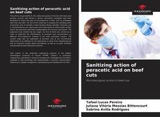 Copertina di Sanitizing action of peracetic acid on beef cuts