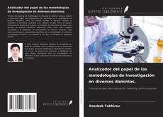 Buchcover von Analizador del papel de las metodologías de investigación en diversos dominios.