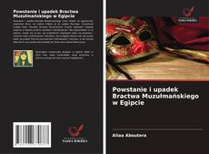 Обложка Powstanie i upadek Bractwa Muzułmańskiego w Egipcie