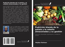 Pudrición blanda de la patata y la cebolla almacenadas y su gestión的封面