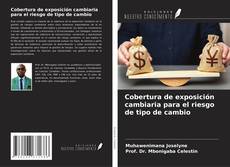 Cobertura de exposición cambiaria para el riesgo de tipo de cambio的封面