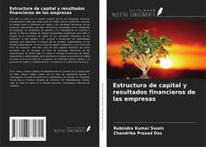 Capa do livro de Estructura de capital y resultados financieros de las empresas 