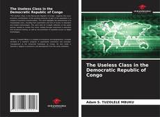 Обложка The Useless Class in the Democratic Republic of Congo
