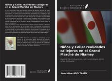 Buchcover von Niños y Colle: realidades callejeras en el Grand Marché de Niamey