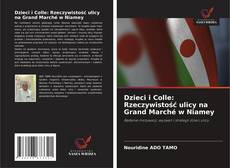 Обложка Dzieci i Colle: Rzeczywistość ulicy na Grand Marché w Niamey