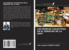 Buchcover von LAS MARCAS COLECTIVAS EN EL DERECHO DE LA OAPI