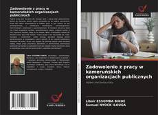 Обложка Zadowolenie z pracy w kameruńskich organizacjach publicznych