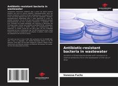 Bookcover of Antibiotic-resistant bacteria in wastewater