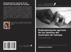 Capa do livro de Endeudamiento agrícola de las familias del municipio de Catuípe 