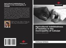 Bookcover of Agricultural indebtedness of families in the municipality of Catuípe