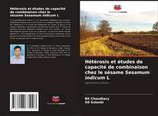 Hétérosis et études de capacité de combinaison chez le sésame Sesamum indicum L的封面