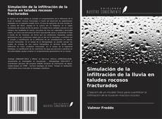 Buchcover von Simulación de la infiltración de la lluvia en taludes rocosos fracturados