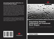 Bookcover of Simulating Rainfall Infiltration on Fractured Rock Slopes