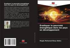 Capa do livro de Éradiquer la pauvreté énergétique dans les pays en développement 