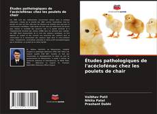 Capa do livro de Études pathologiques de l'acéclofénac chez les poulets de chair 