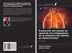 Evaluación del estado de salud de los trabajadores de la industria del ladrillo en determinados的封面