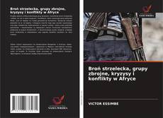 Обложка Broń strzelecka, grupy zbrojne, kryzysy i konflikty w Afryce