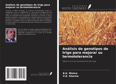 Copertina di Análisis de genotipos de trigo para mejorar su termotolerancia