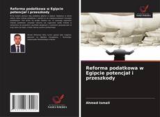 Capa do livro de Reforma podatkowa w Egipcie potencjał i przeszkody 