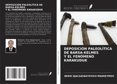 DEPOSICIÓN PALEOLÍTICA DE BARSА-KELMES Y EL FENÓMENO KARAKUDUK的封面