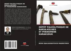 DÉPÔT PALÉOLITHIQUE DE BARSА-KELMES ET PHÉNOMÈNE KARAKUDUK的封面