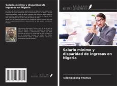 Couverture de Salario mínimo y disparidad de ingresos en Nigeria