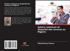 Borítókép a  Salaire minimum et disparité des revenus au Nigeria - hoz