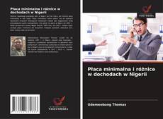 Płaca minimalna i różnice w dochodach w Nigerii kitap kapağı