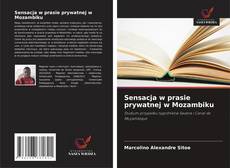 Sensacja w prasie prywatnej w Mozambiku kitap kapağı