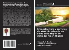 Capa do livro de Infraestructura y servicios de atención primaria de salud en la región del delta del Níger, Nigeria 